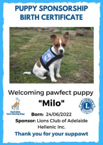 Milo - Birth Certificate